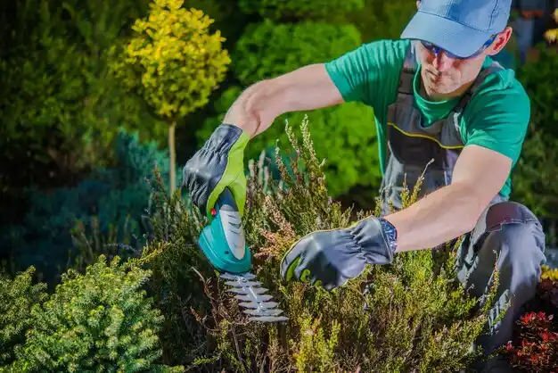 landscaping services Killian